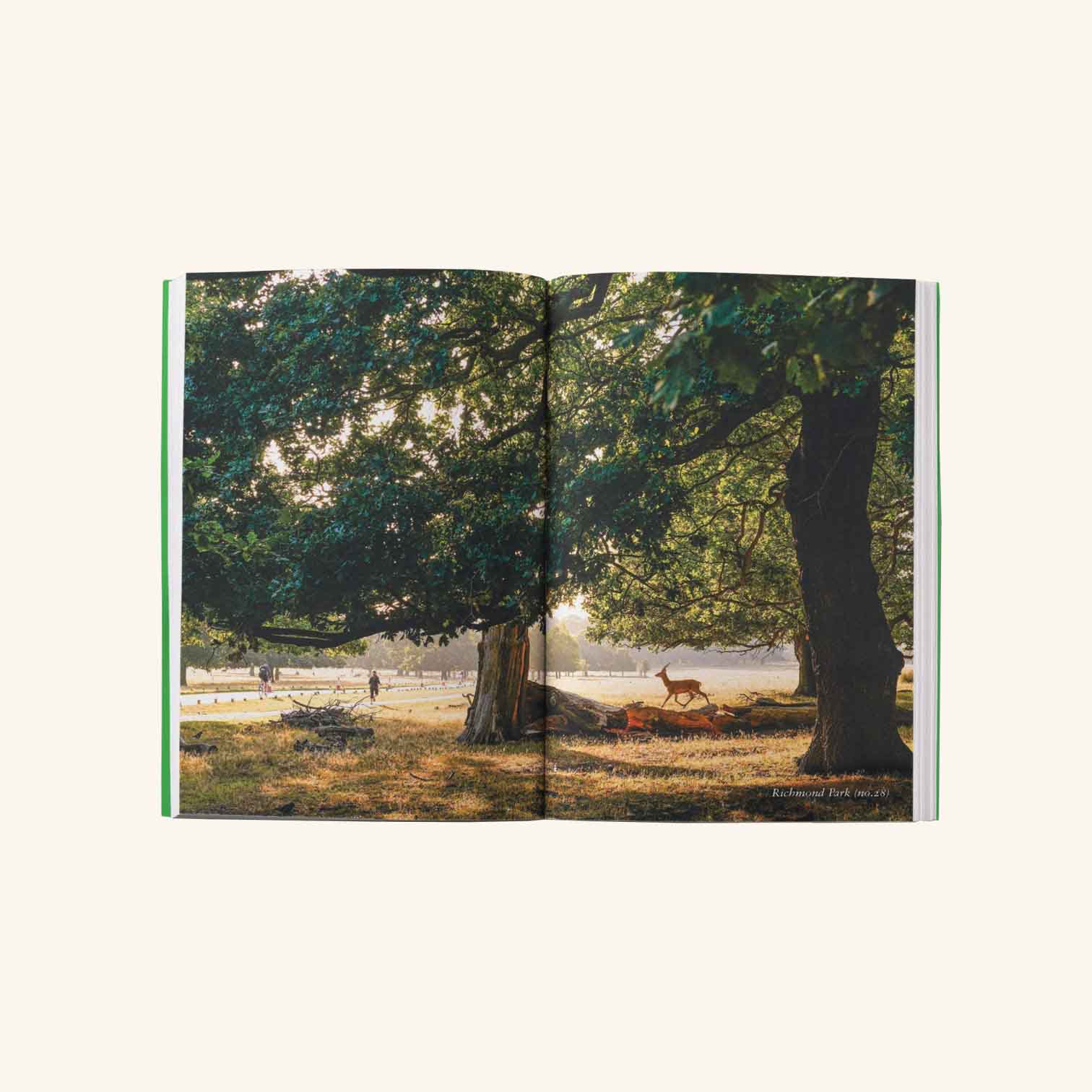 An Opinionated Guide to London Green Spaces - Image 4