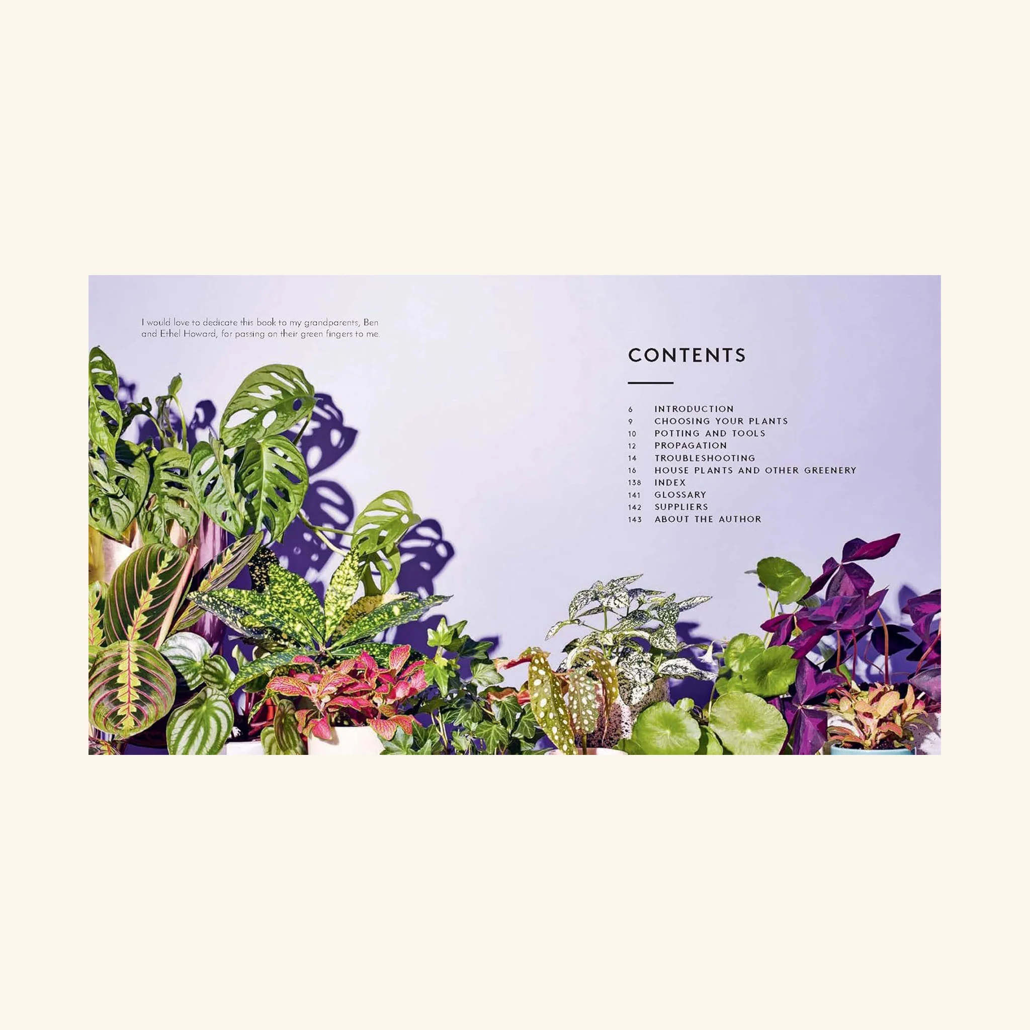 The Little Book of House Plants and Other Greenery - Image 5